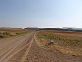 DSC05537