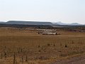 DSC05539