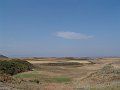 DSC05540