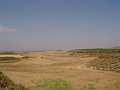 DSC05542