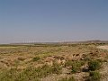 DSC05544