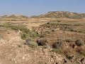 DSC05547