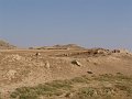 DSC05551