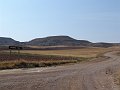 DSC05552