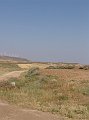 DSC05554