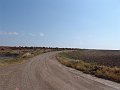DSC05555