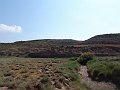 DSC05556
