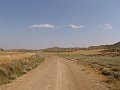 DSC05558