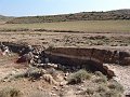 DSC05559