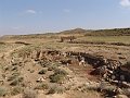 DSC05560
