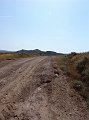 DSC05565