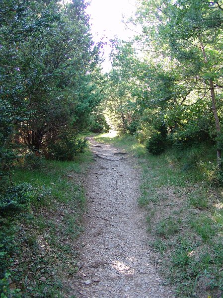 DSC05063.jpg
