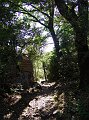 DSC05065