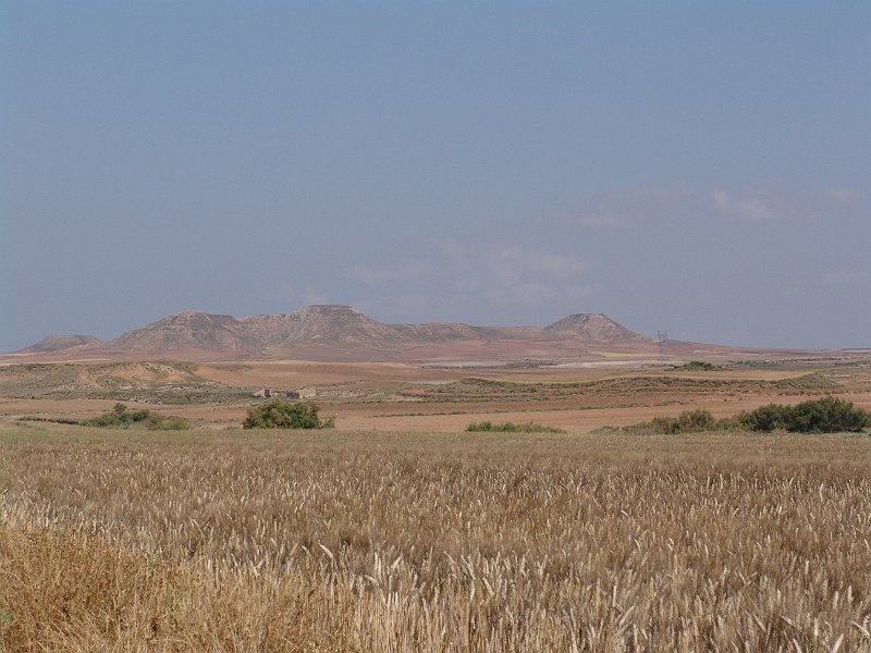 DSC05567.JPG