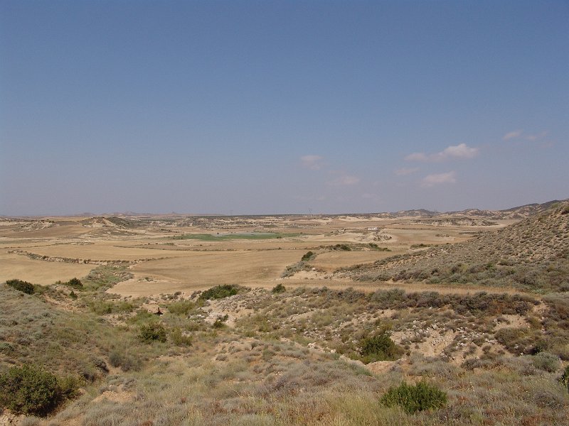 DSC05596.JPG