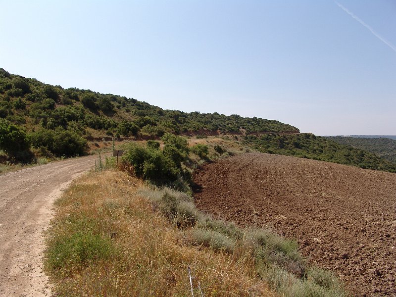 DSC05617.JPG