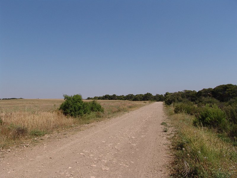 DSC05632.JPG