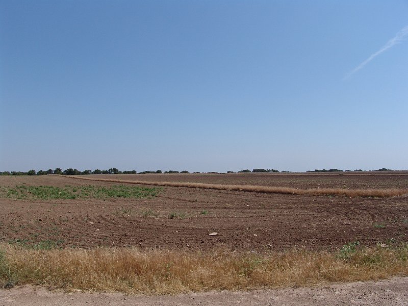 DSC05636.JPG
