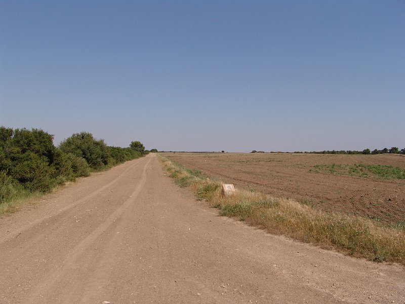 DSC05637.JPG
