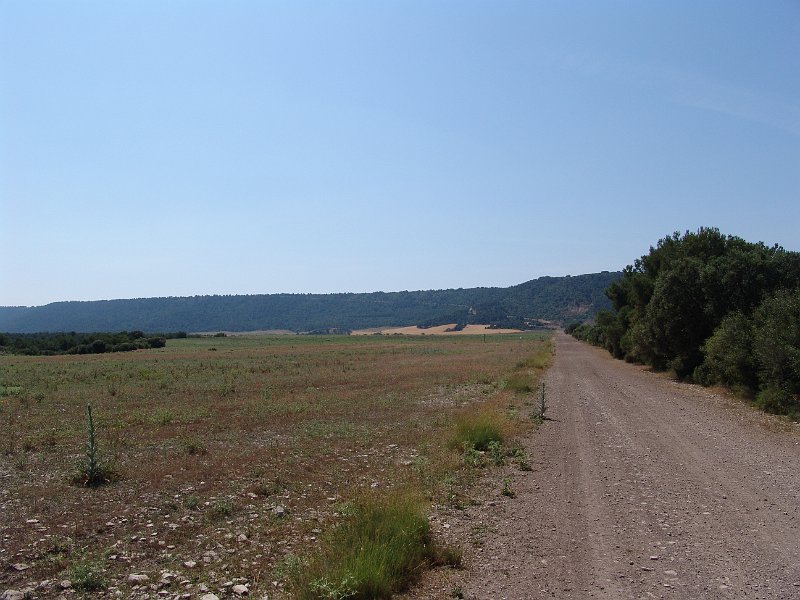 DSC05638.JPG