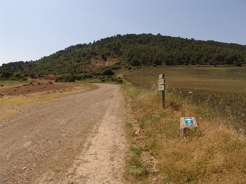 DSC05643.JPG