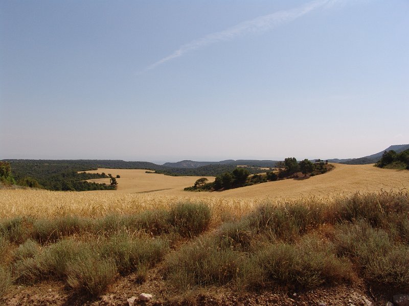 DSC05650.JPG