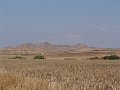 DSC05567