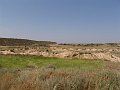 DSC05570