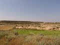 DSC05571
