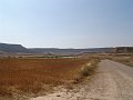 DSC05572
