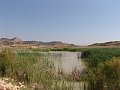 DSC05579