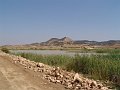 DSC05580