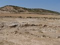 DSC05581