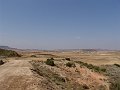 DSC05594