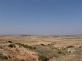 DSC05595