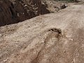 DSC05598