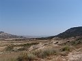 DSC05603