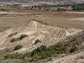 DSC05605