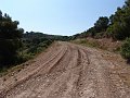 DSC05614