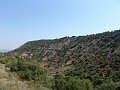 DSC05615