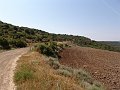 DSC05617