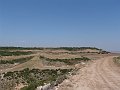 DSC05618