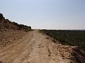 DSC05620