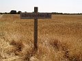 DSC05624
