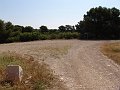 DSC05626