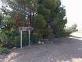 DSC05627