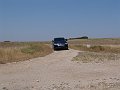 DSC05629