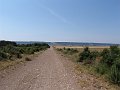 DSC05631