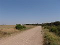 DSC05632