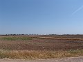 DSC05636